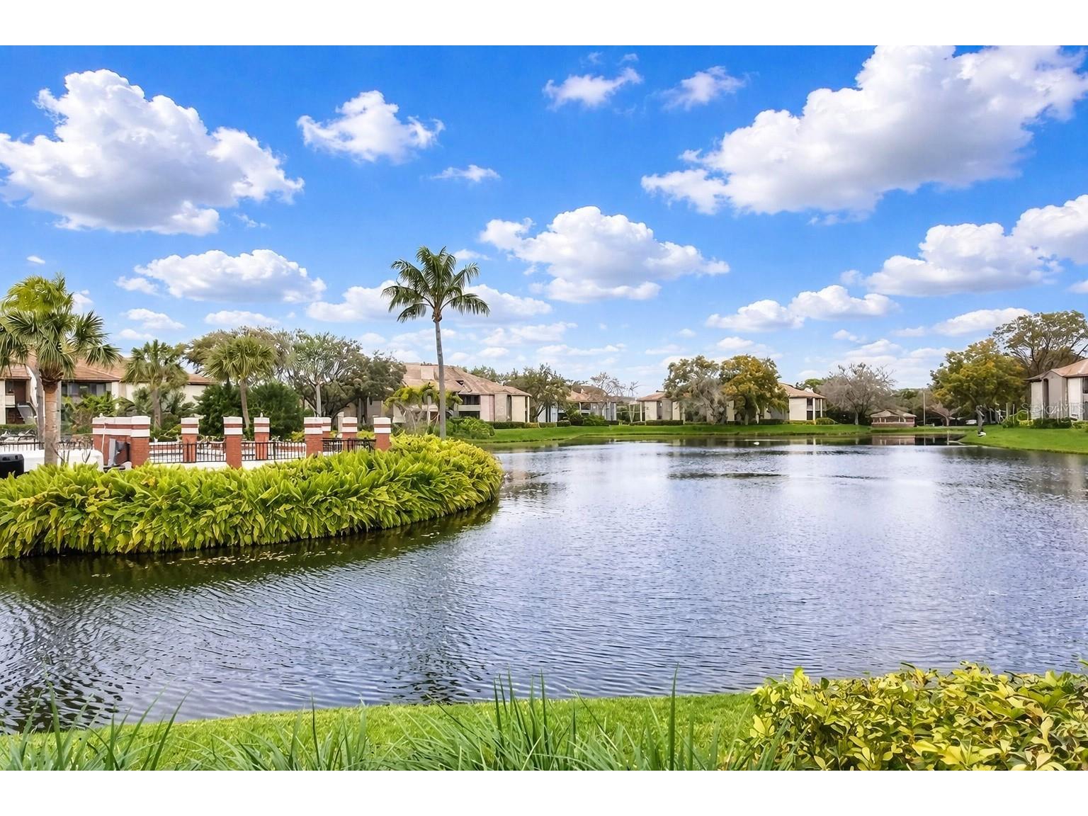 10265 Gandy Boulevard N #907 Saint Petersburg FL 33702 TB8513596 image43