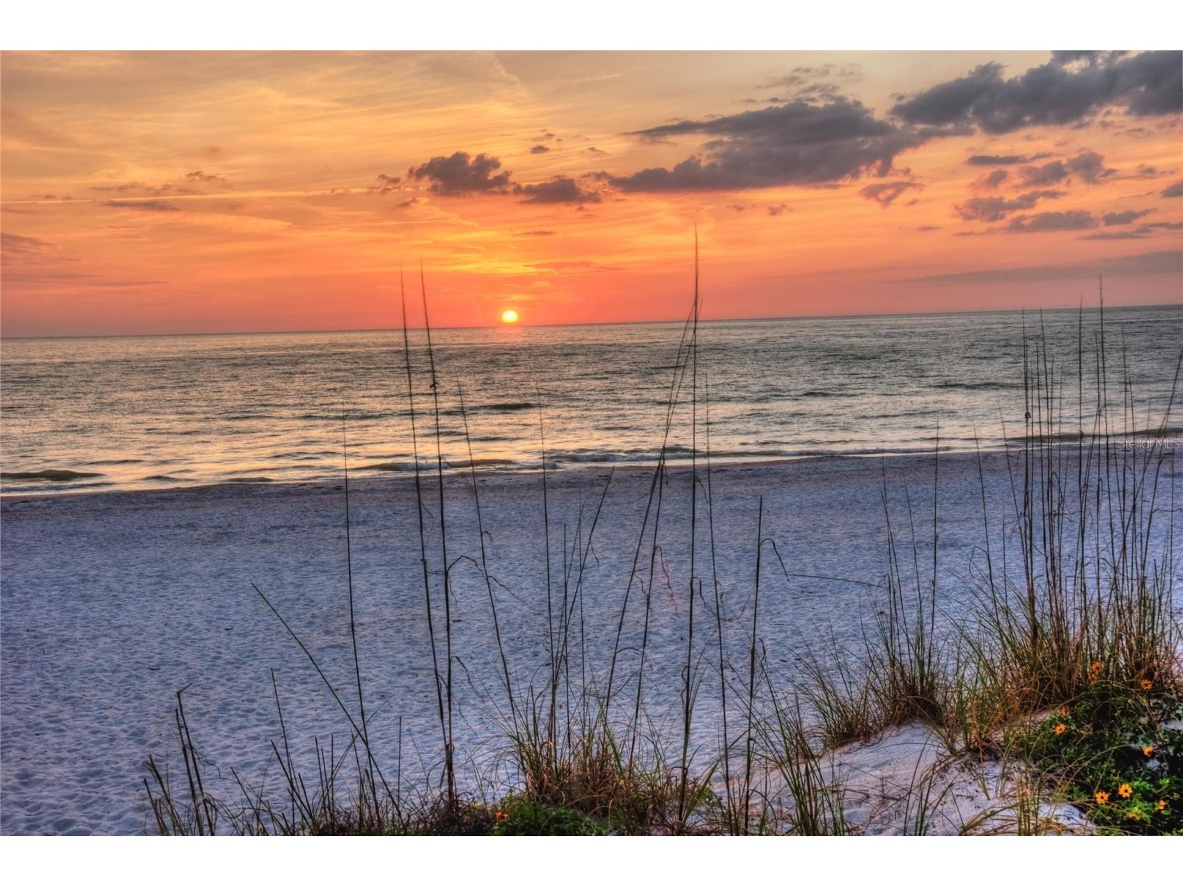 10265 Gulf Boulevard #A306 Saint Petersburg FL 33706 - BOC CIEGA BAY TB8464476 image23