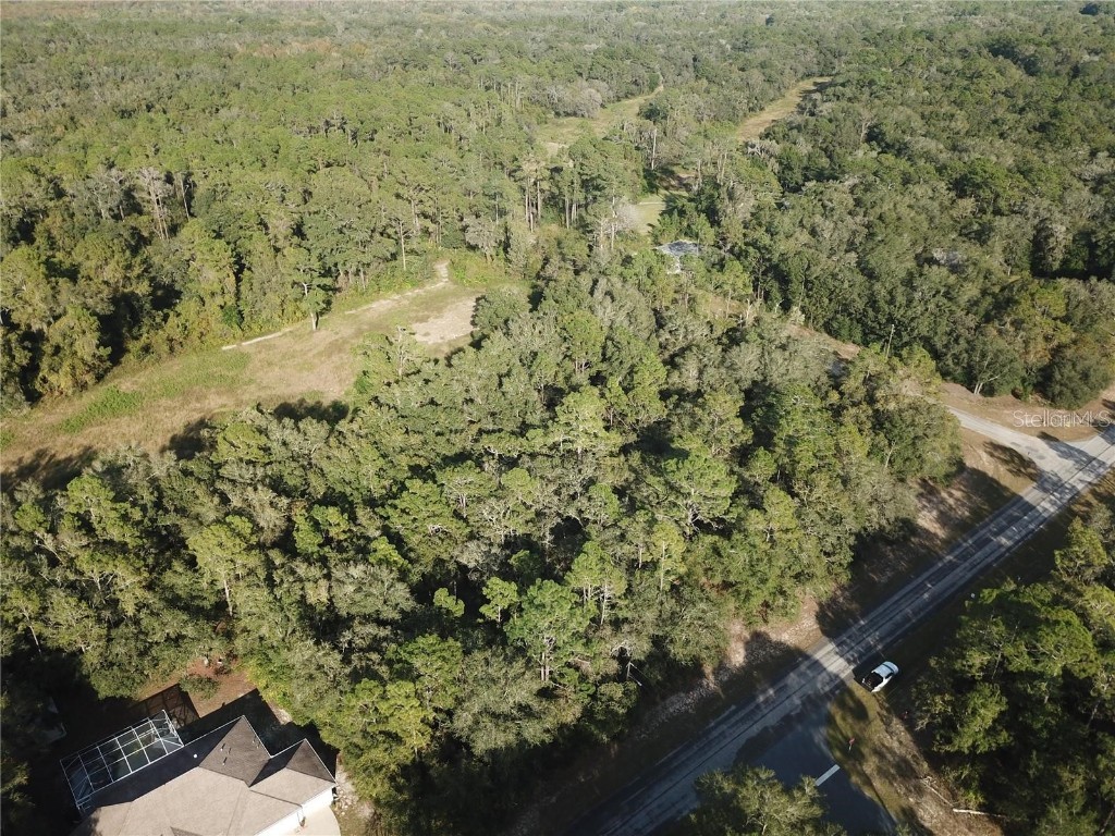 10265 N Athenia Drive Citrus Springs FL 34434 TB8420750 image2