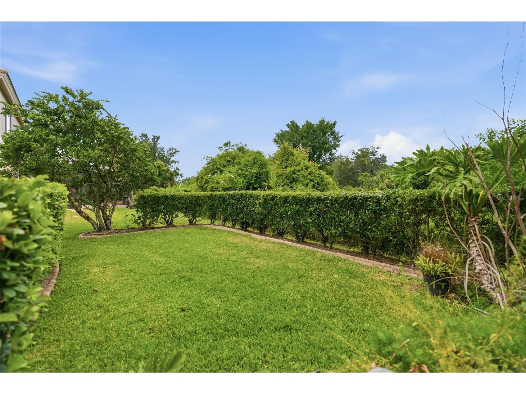 10266 Estuary Drive Tampa FL 33647 TB8518089 image31