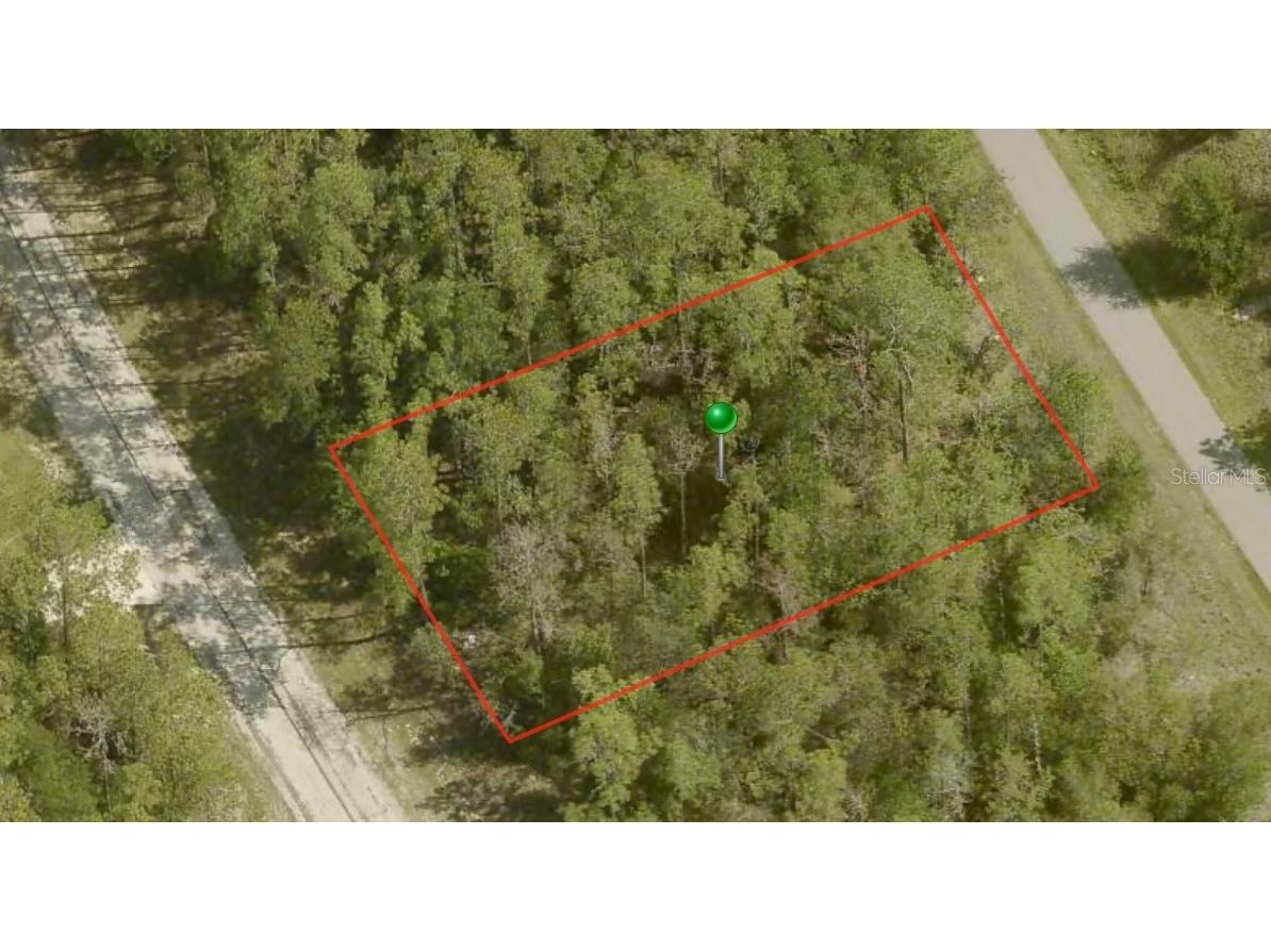 10267 N Empress Circle Citrus Springs FL 34434 A4601720 image2