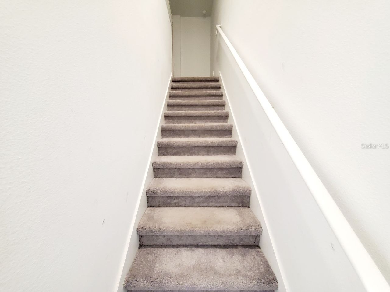 10268 Trumpet Honeysuckle Way San Antonio FL 33576 TB8527712 image16