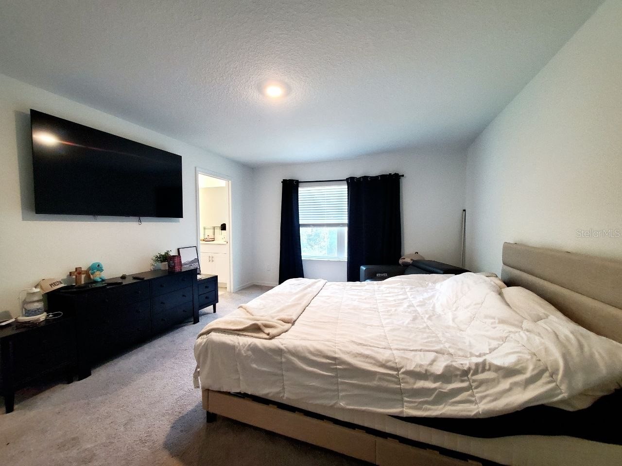 10268 Trumpet Honeysuckle Way San Antonio FL 33576 TB8527712 image20