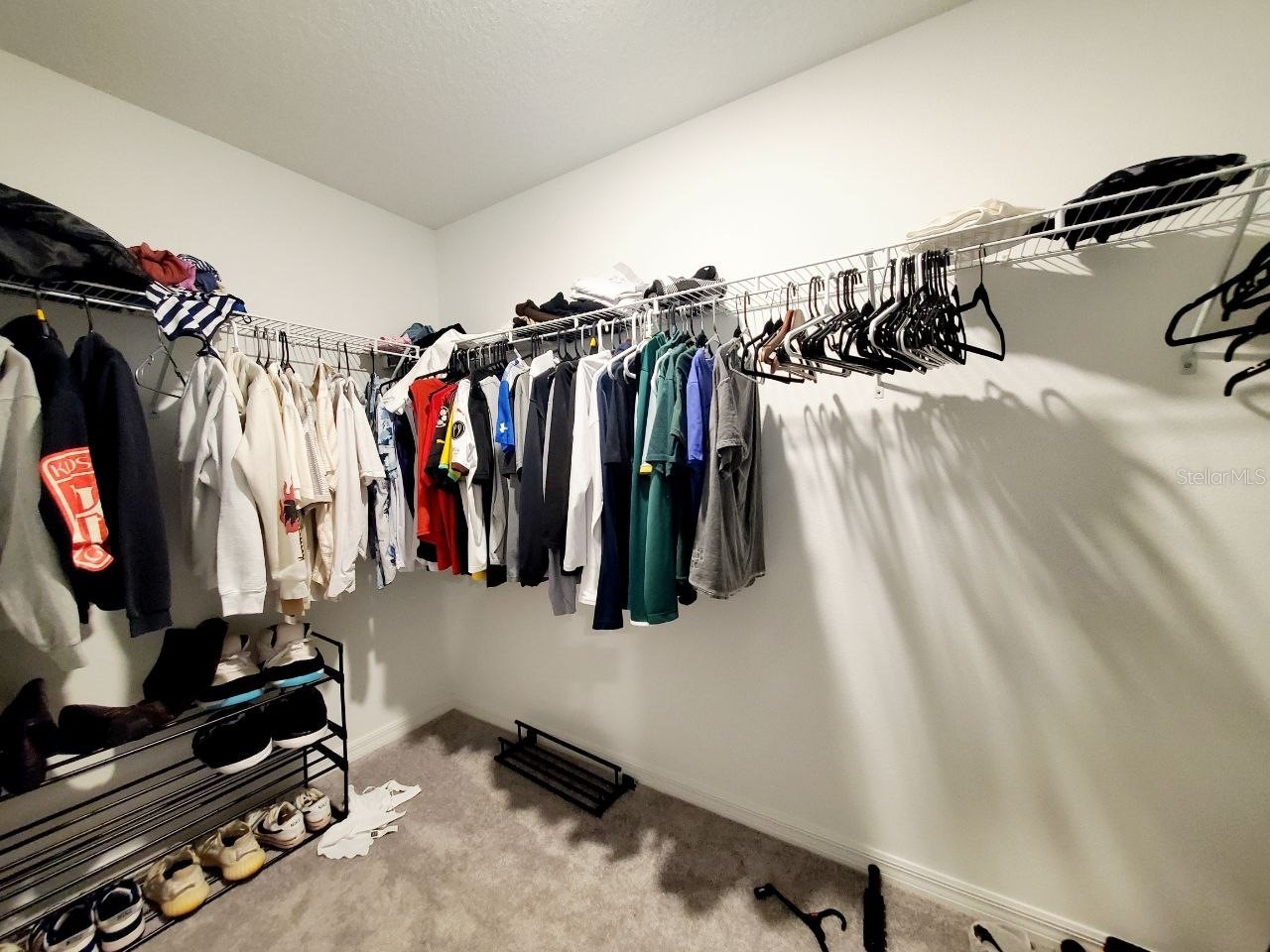 10268 Trumpet Honeysuckle Way San Antonio FL 33576 TB8527712 image21