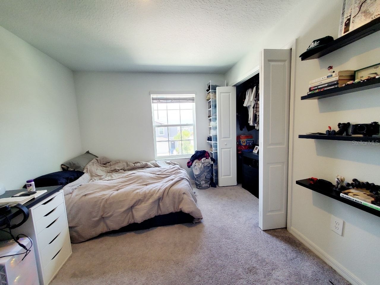 10268 Trumpet Honeysuckle Way San Antonio FL 33576 TB8527712 image33