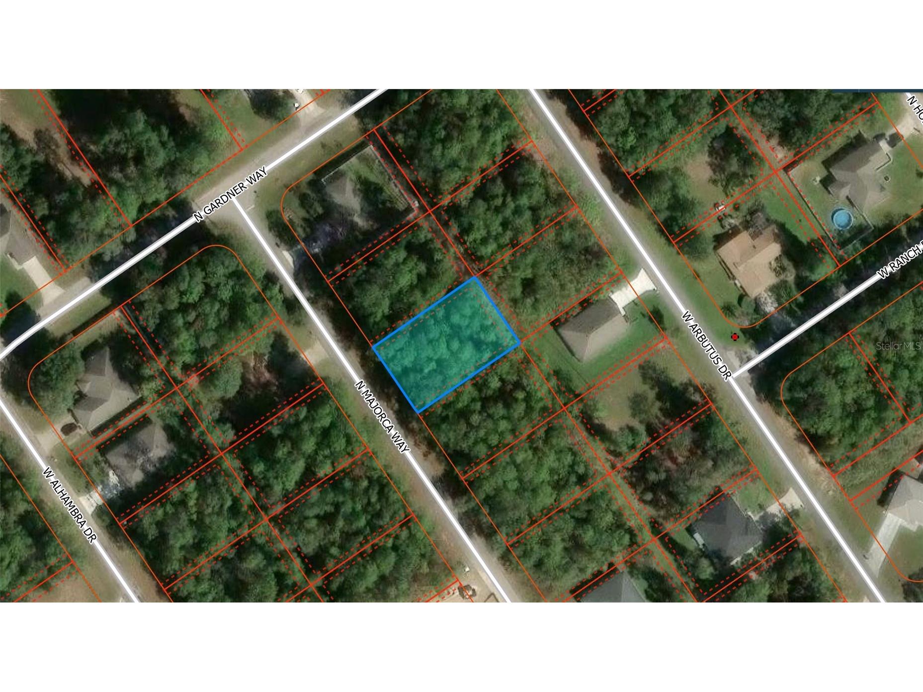 10269 N Majorca Way Citrus Springs FL 34434 O6405572 image3