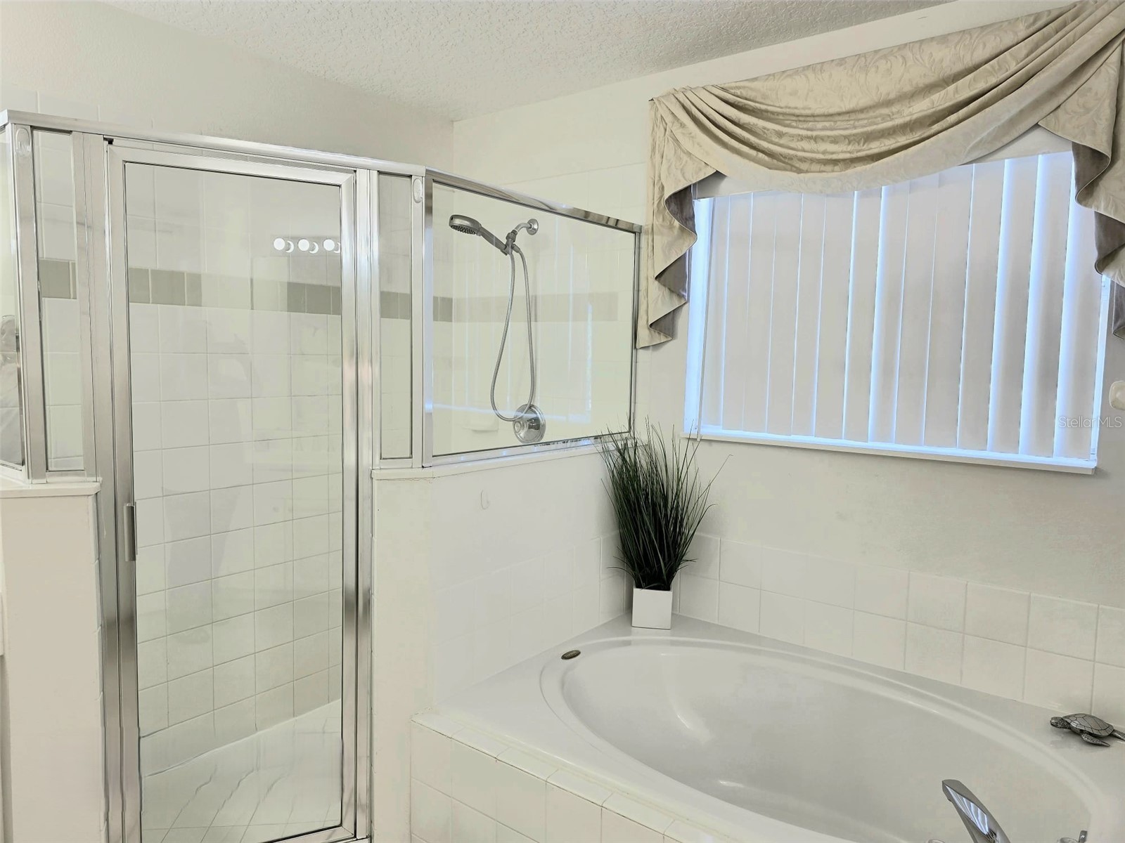1027 Balmoral Drive Davenport FL 33896 O6400136 image19