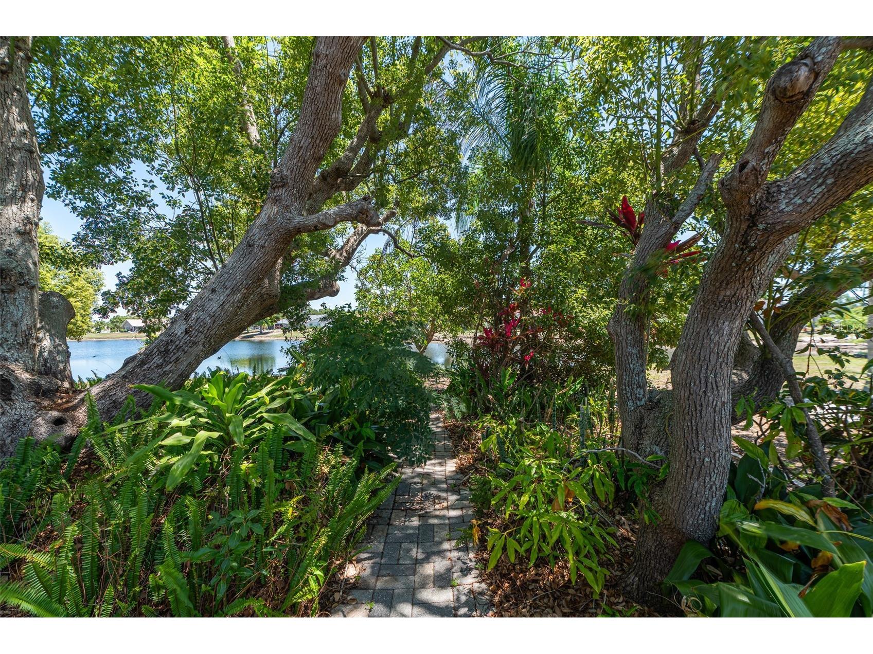 1027 Bluewater Drive Sun City Center FL 33573 TB8505431 image4