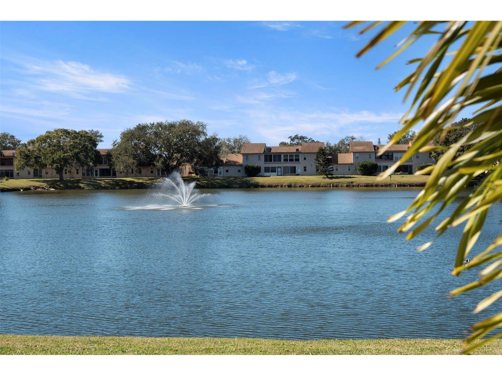 1027 Bowsprit Lane Holiday FL 34691 TB8470035 image40