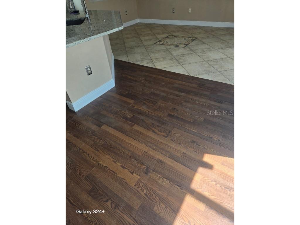 1027 Dudley Drive Kissimmee FL 34758 S5134174 image20