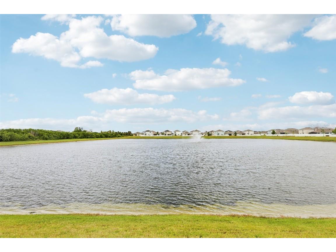 1027 Ocean Spray Drive Ruskin FL 33570 TB8438269 image53