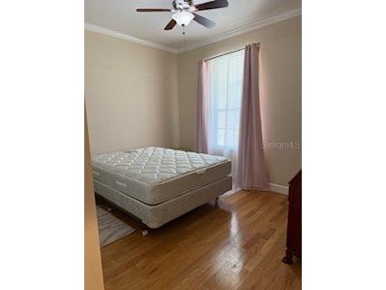 1027 Orca Court Holiday FL 34691 TB8437697 image13