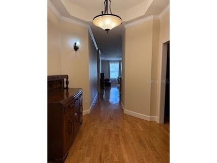 1027 Orca Court Holiday FL 34691 TB8437697 image3