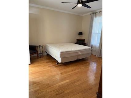 1027 Orca Court Holiday FL 34691 TB8437697 image7