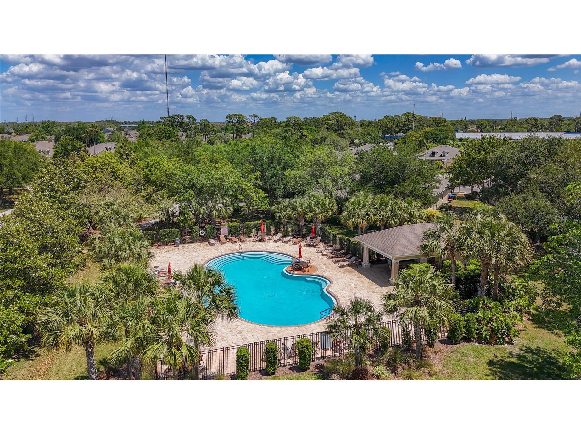 1027 Orca Court Holiday FL 34691 TB8501279 image32
