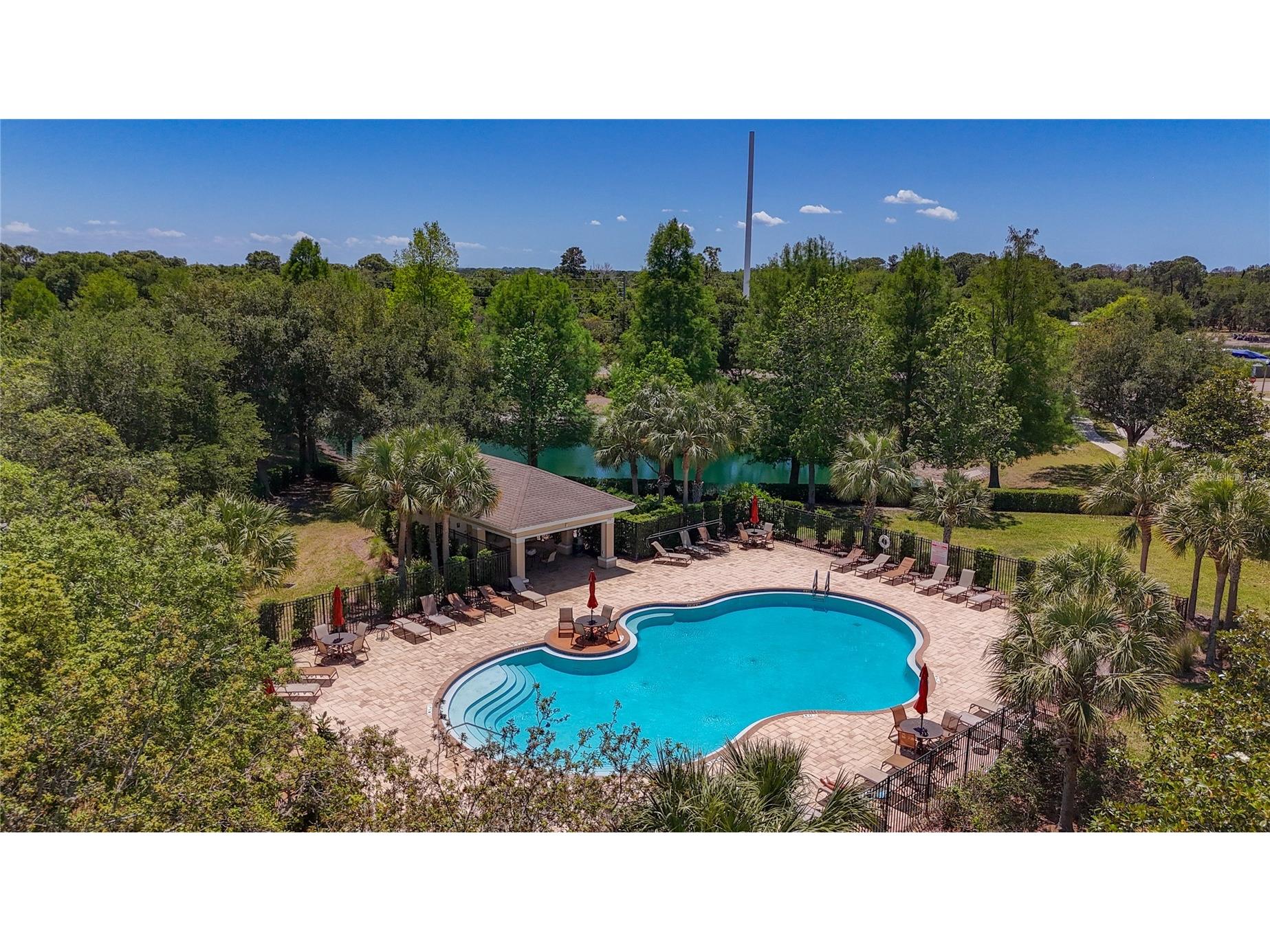 1027 Orca Court Holiday FL 34691 TB8501279 image5