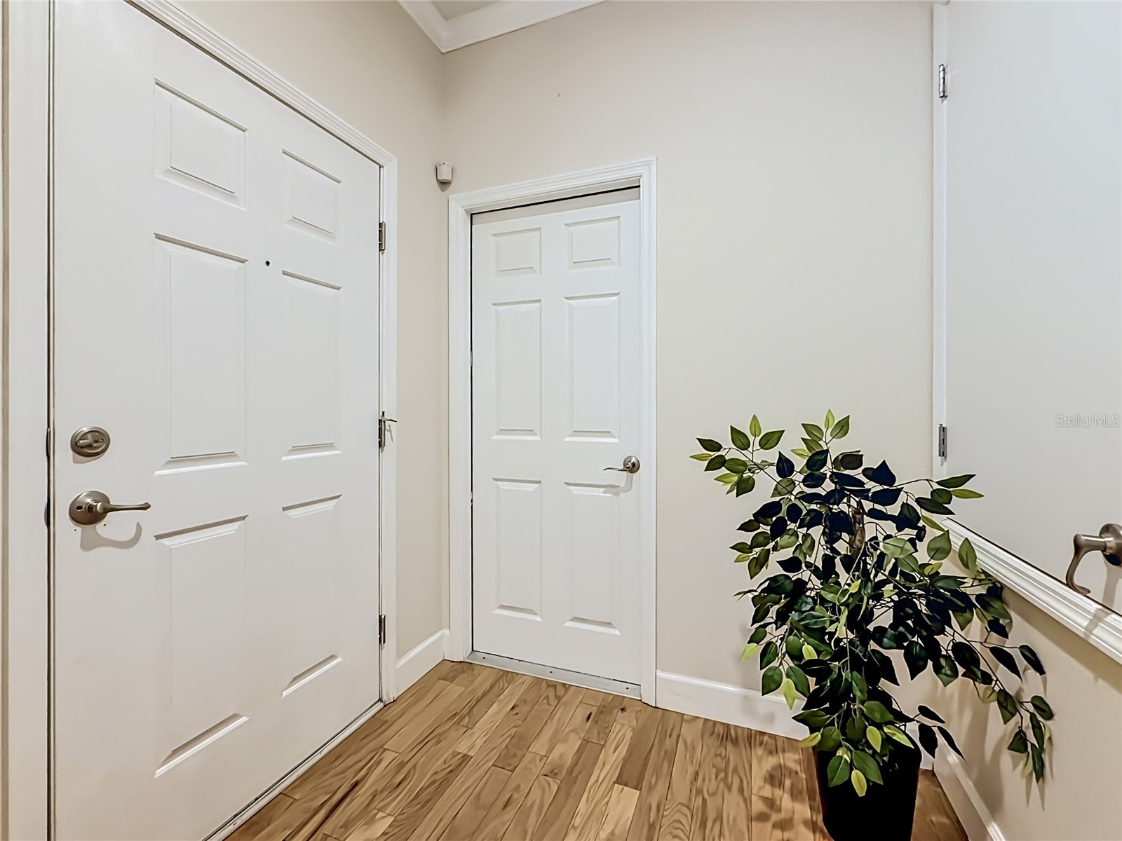 1027 Orca Court Holiday FL 34691 TB8501279 image68