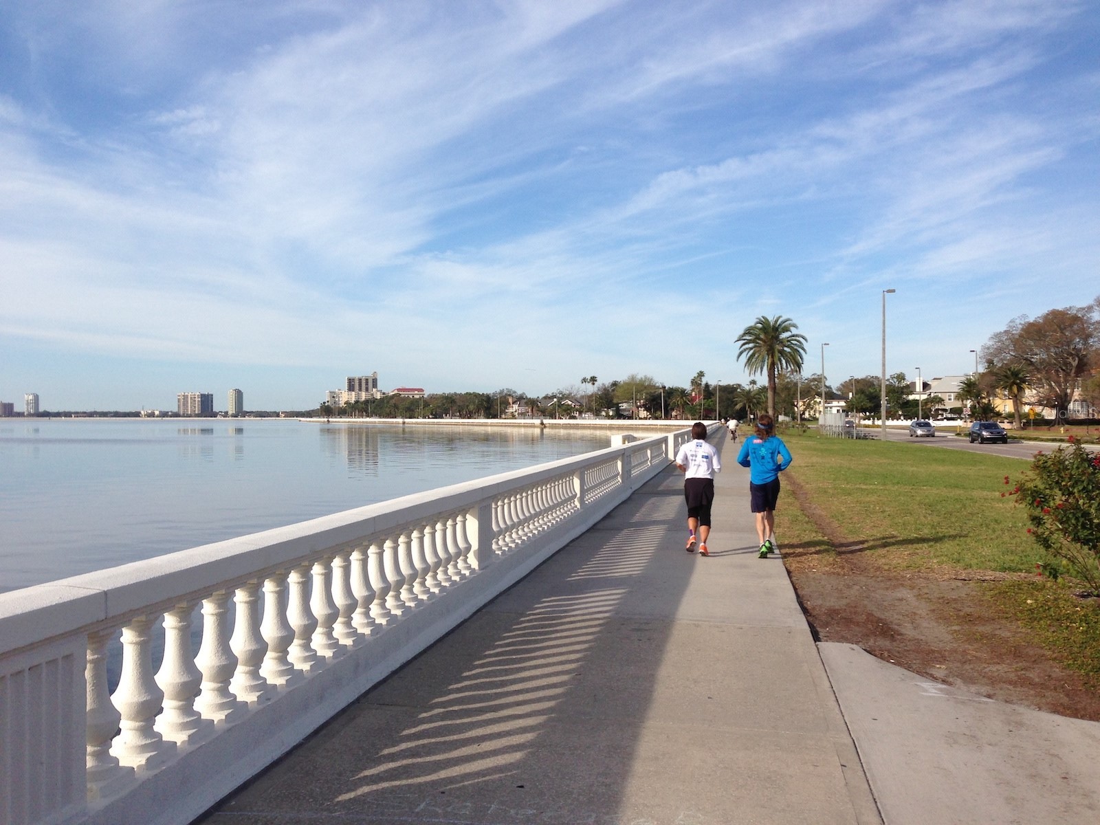 1027 S Dakota Avenue Tampa FL 33606 TB8464073 image4