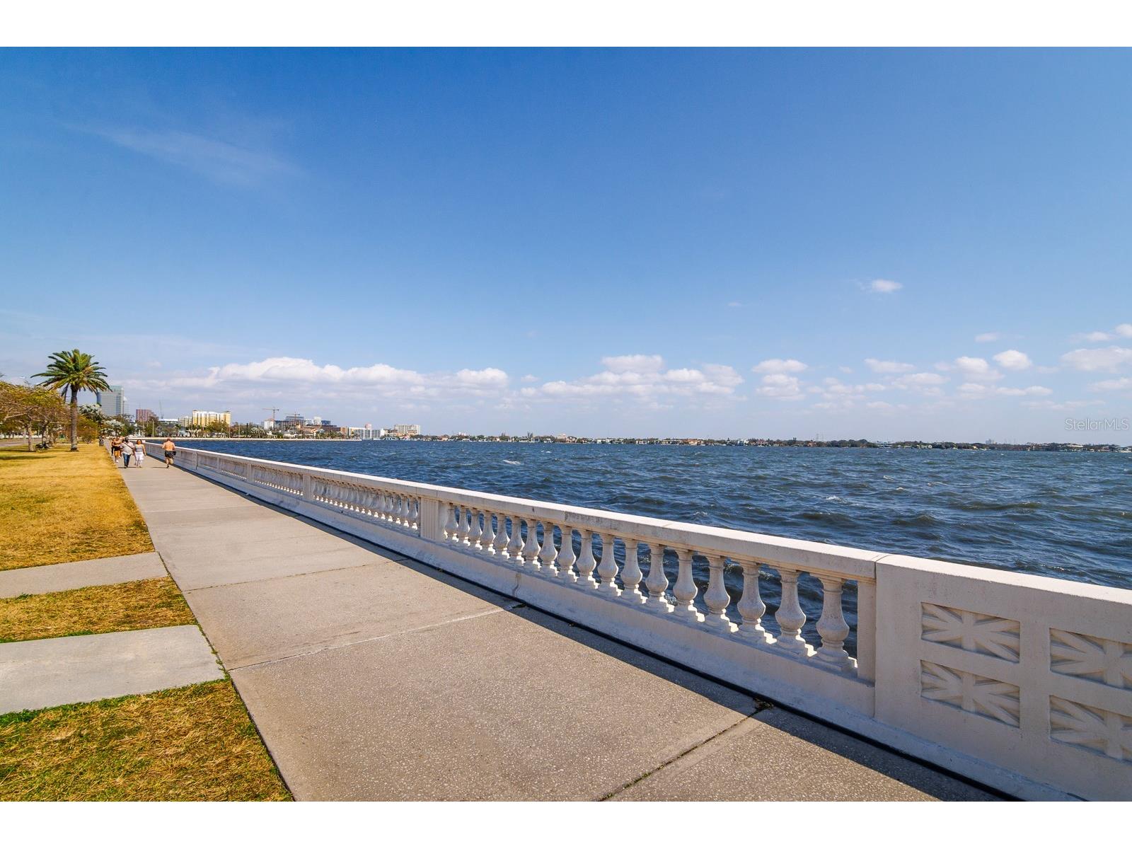 1027 S Dakota Avenue Tampa FL 33606 TB8464073 image56