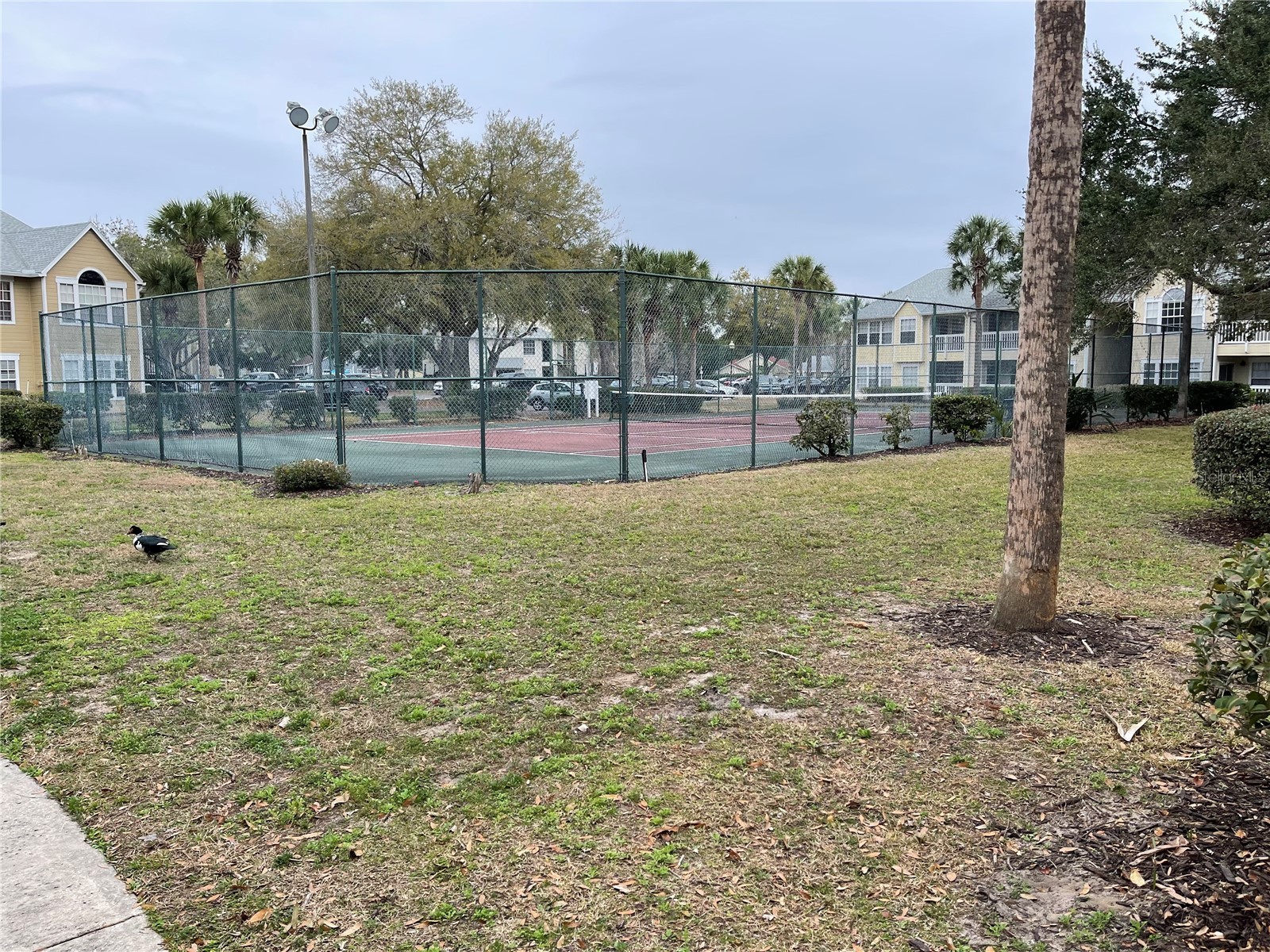 1027 S Hiawassee Road #2311 Orlando FL 32835 O6408916 image21
