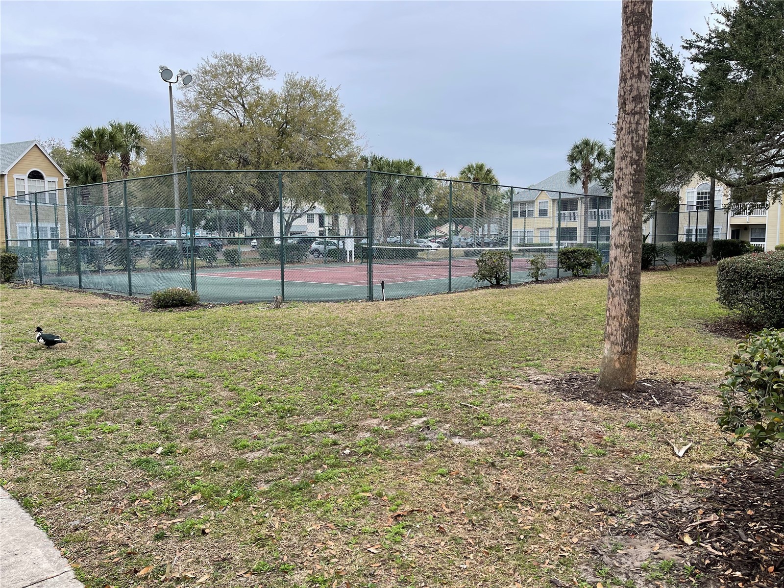 1027 S Hiawassee Road #2311 Orlando FL 32835 O6408916 image46