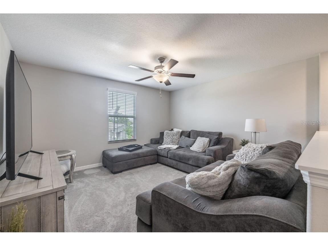 10270 Shady Preserve Drive Riverview FL 33578 TB8402515 image18