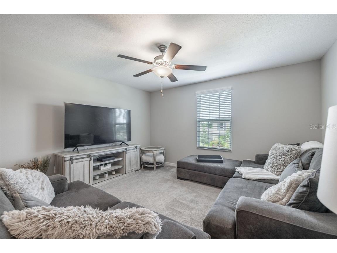 10270 Shady Preserve Drive Riverview FL 33578 TB8402515 image19