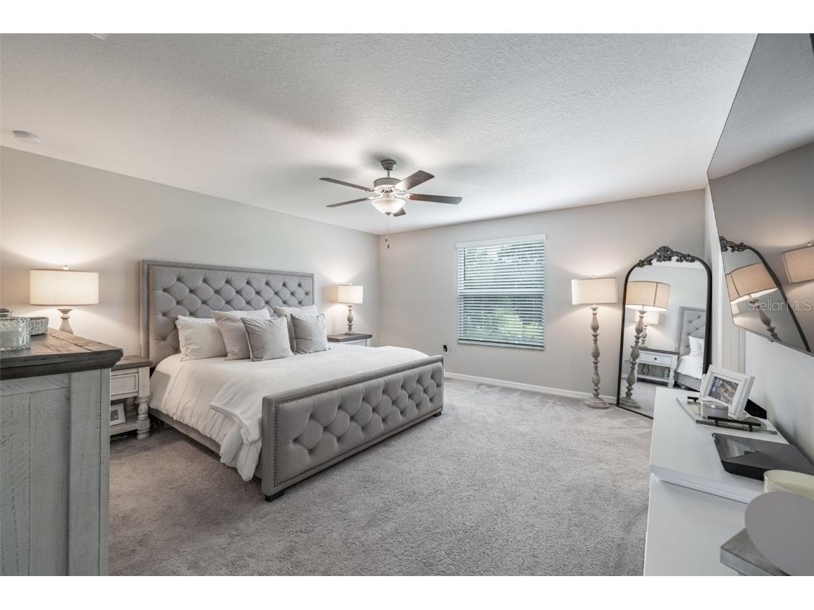 10270 Shady Preserve Drive Riverview FL 33578 TB8402515 image20