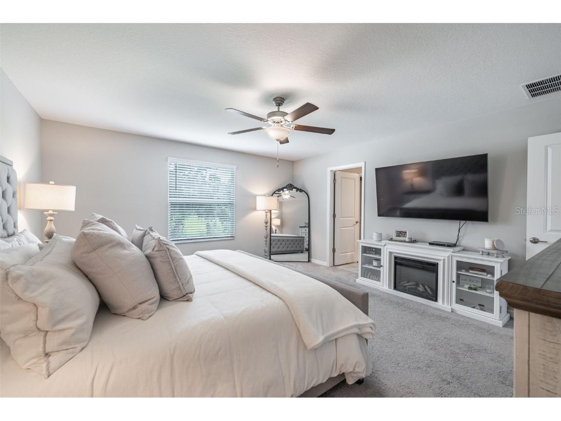 10270 Shady Preserve Drive Riverview FL 33578 TB8402515 image21