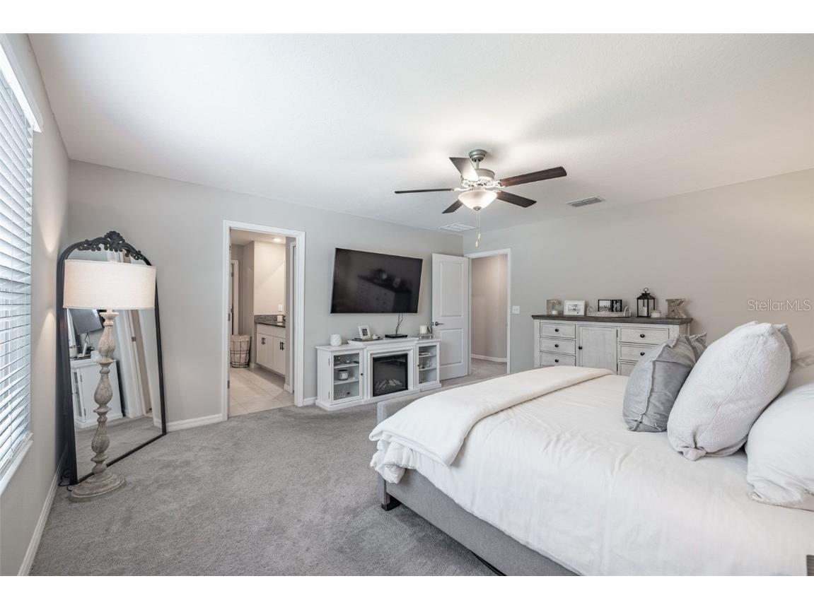 10270 Shady Preserve Drive Riverview FL 33578 TB8402515 image22