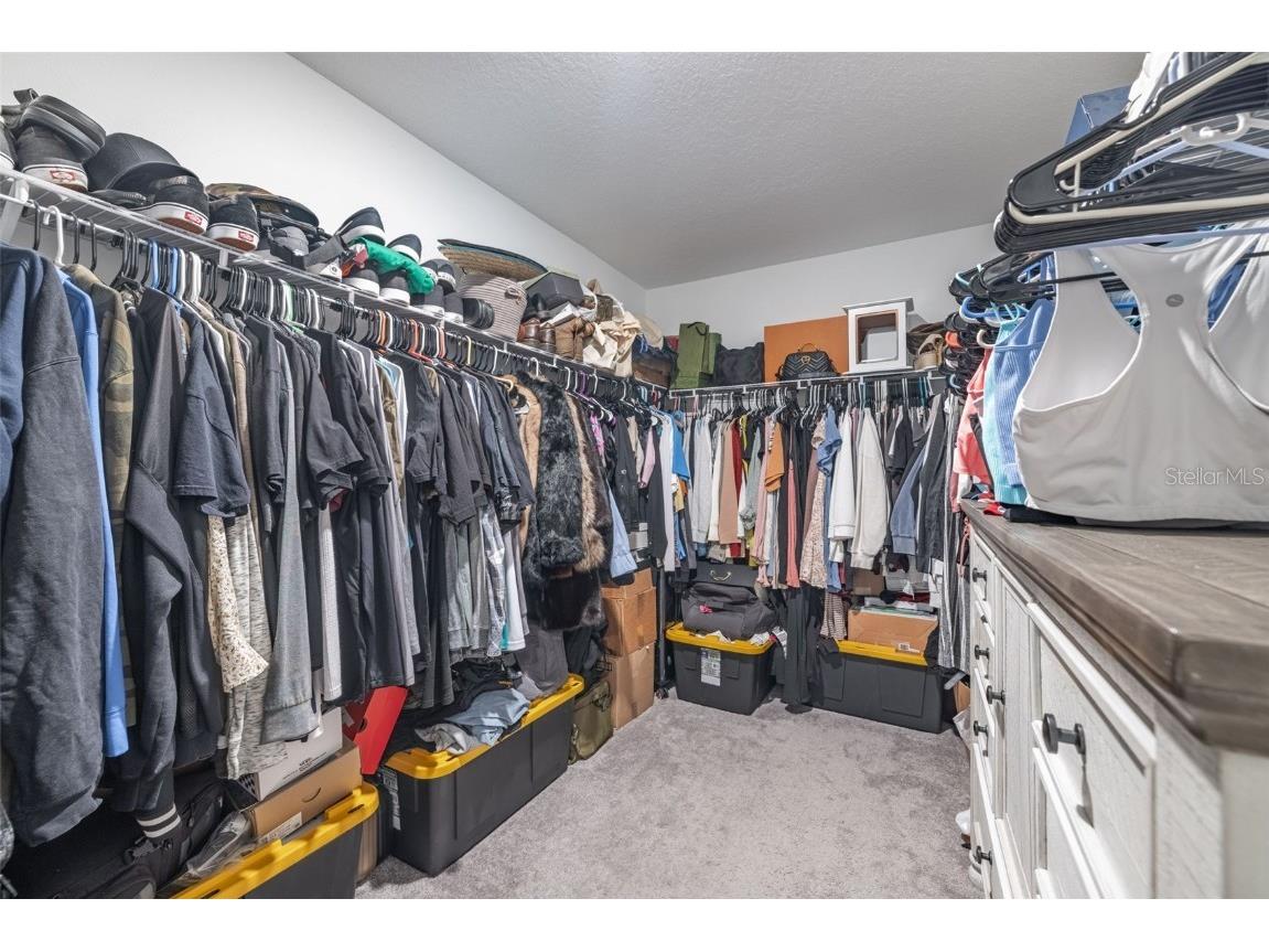 10270 Shady Preserve Drive Riverview FL 33578 TB8402515 image24