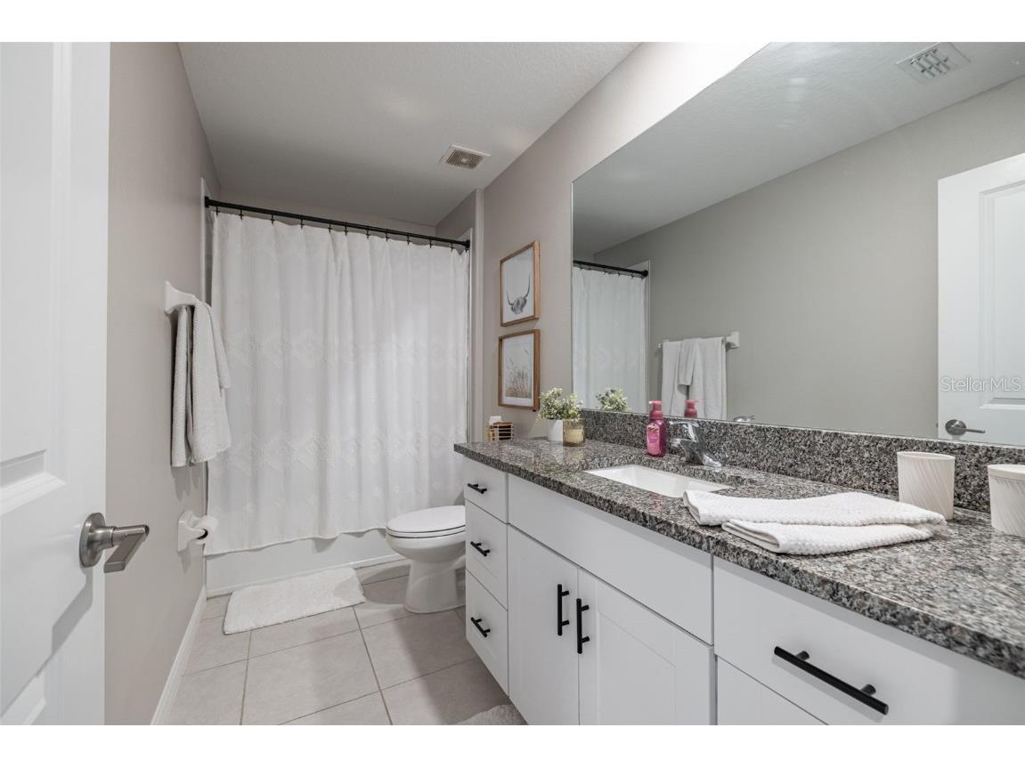 10270 Shady Preserve Drive Riverview FL 33578 TB8402515 image28