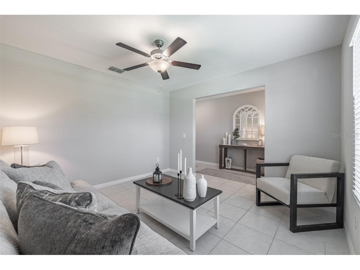 10270 Shady Preserve Drive Riverview FL 33578 TB8402515 image7