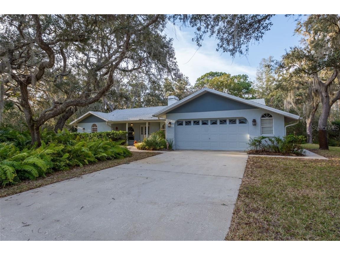10271 Casey Drive New Port Richey FL 34654 W7852138 image1