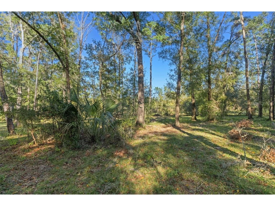 10271 S Evans Point Inverness FL 34452 W7872409 image31