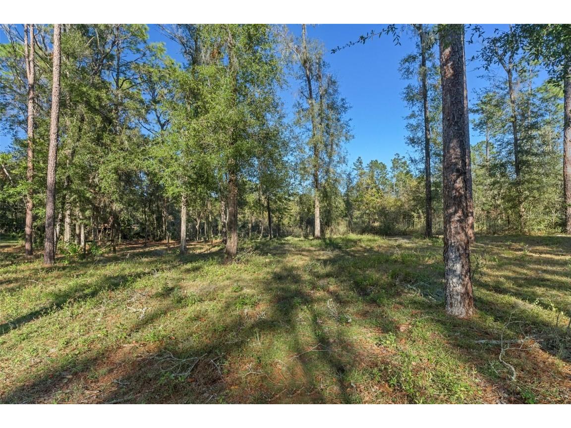 10271 S Evans Point Inverness FL 34452 W7872409 image32