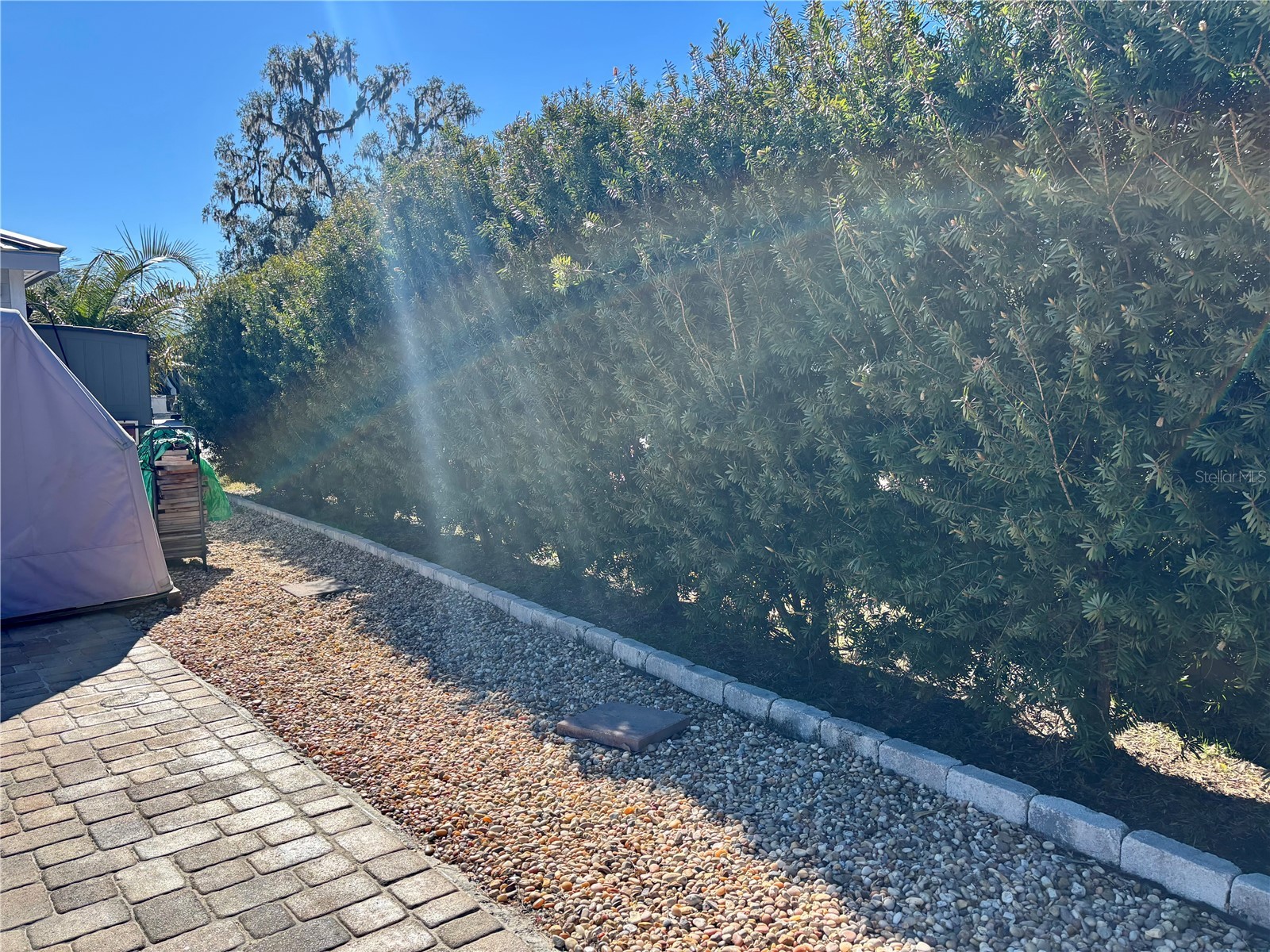 10273 NE 28th Loop Silver Springs FL 34488 - OCKLAWAHA RIVER OM718484 image22