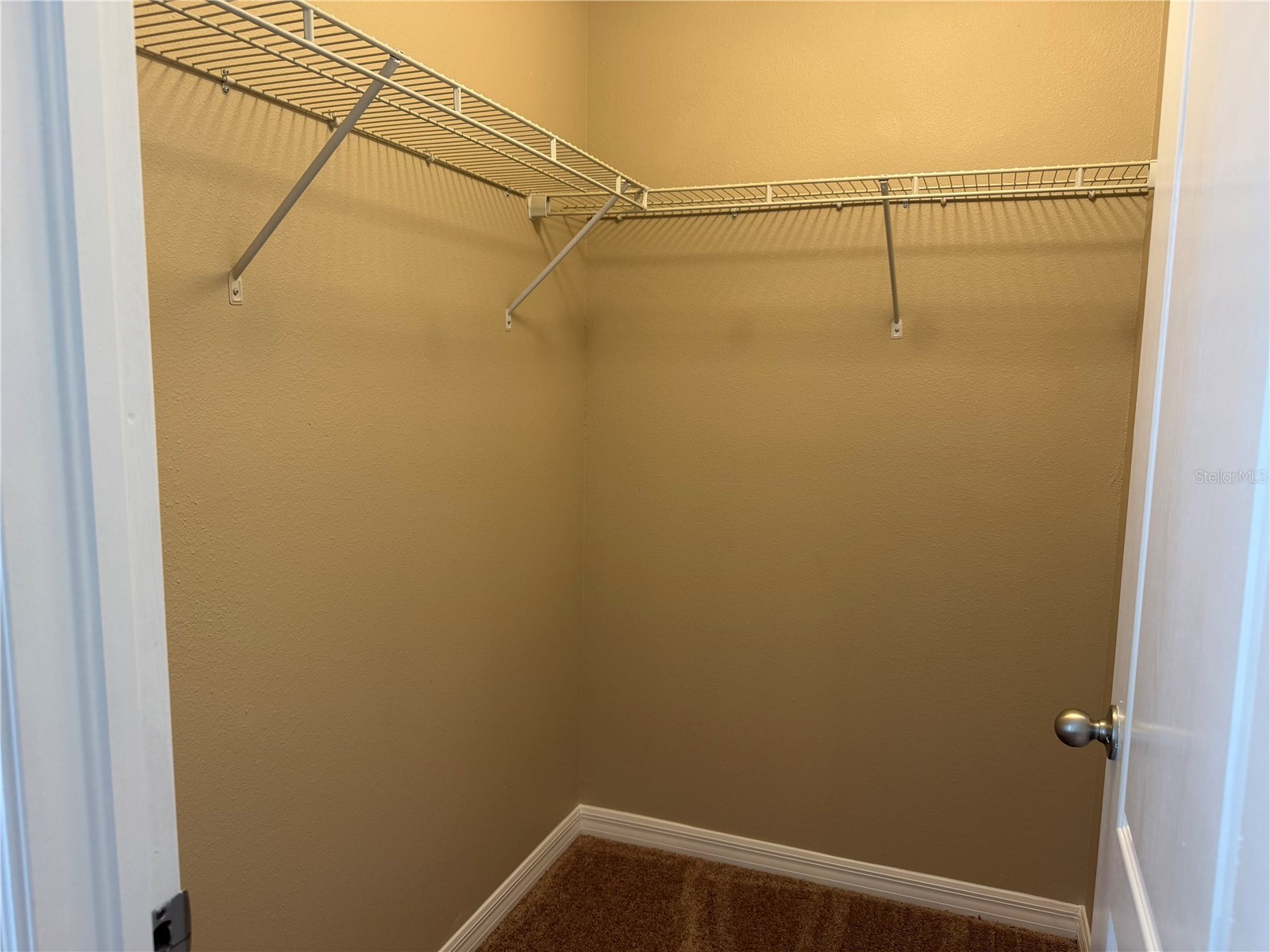10273 Villa Palazzo Court Tampa FL 33615 TB8510638 image25