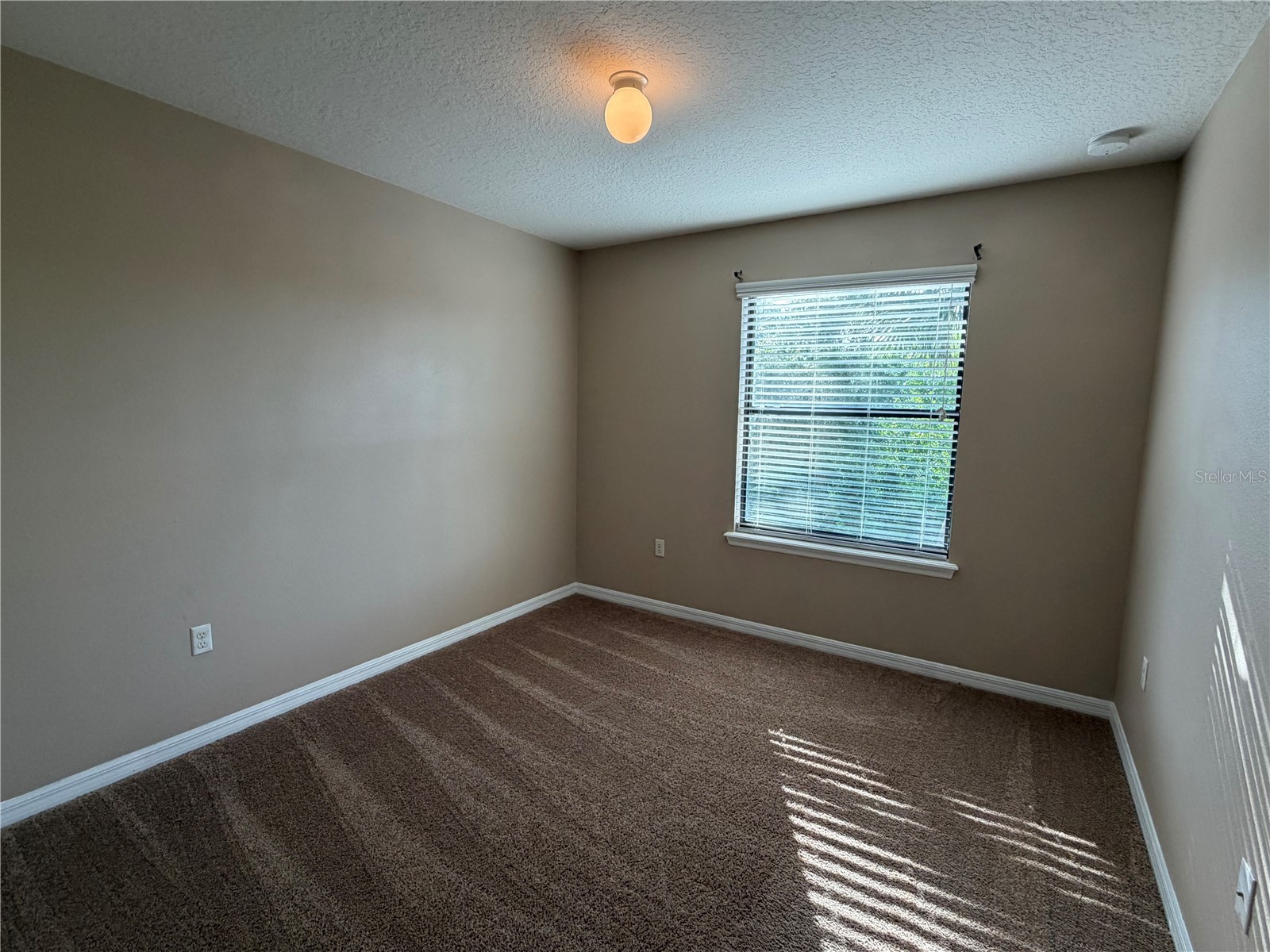 10273 Villa Palazzo Court Tampa FL 33615 TB8510638 image29