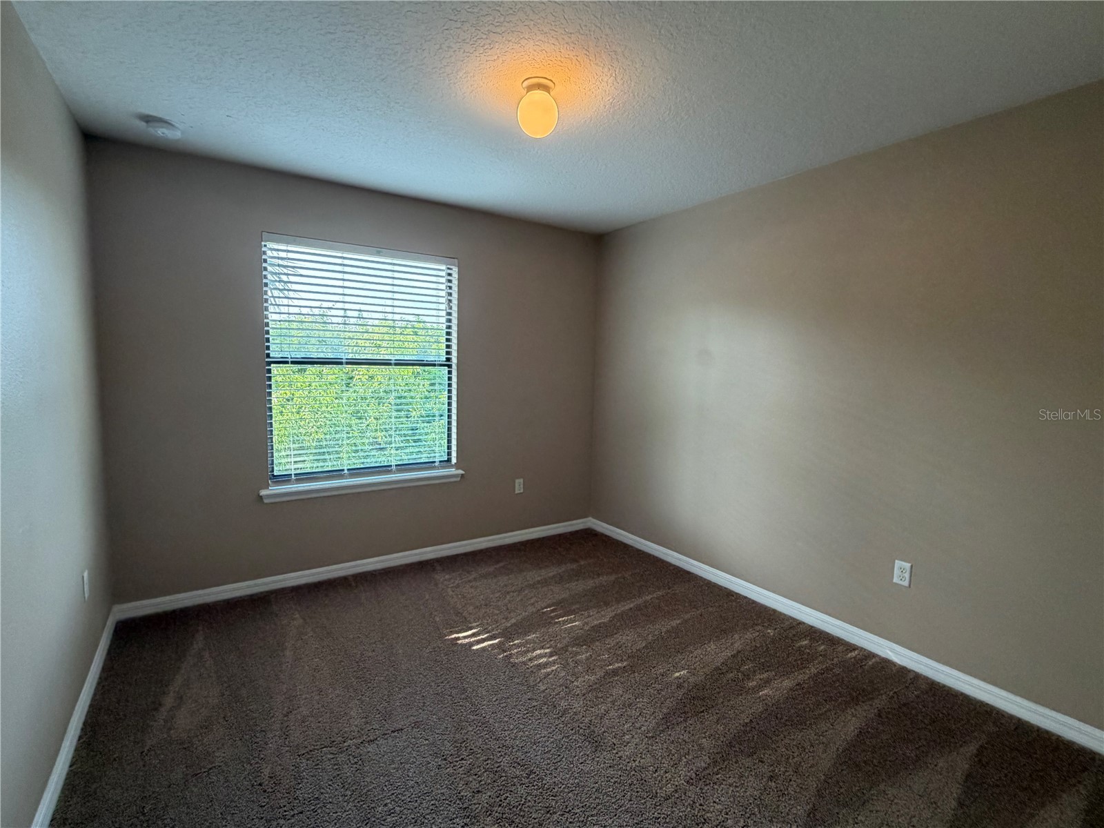 10273 Villa Palazzo Court Tampa FL 33615 TB8510638 image30