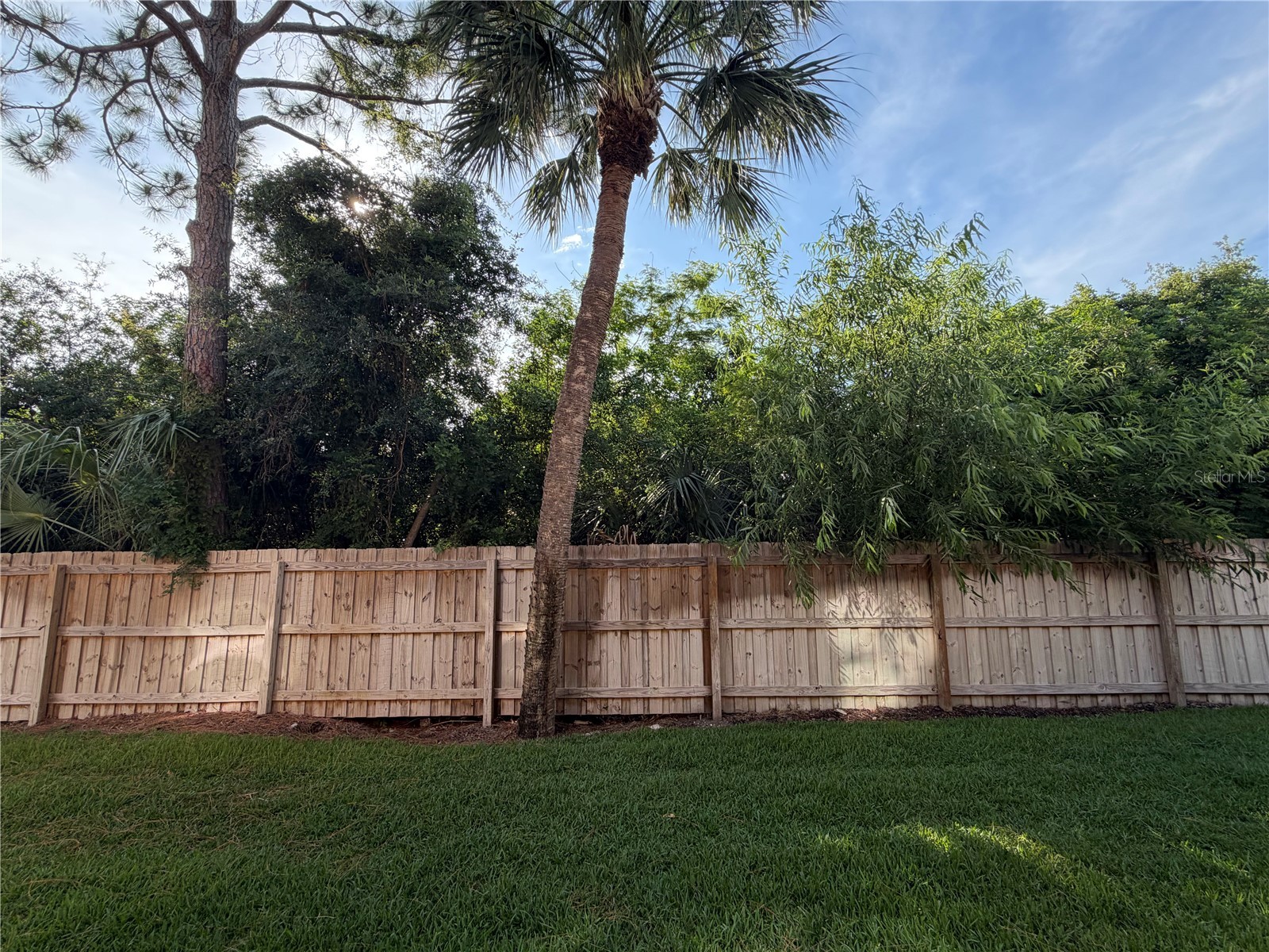 10273 Villa Palazzo Court Tampa FL 33615 TB8510638 image39