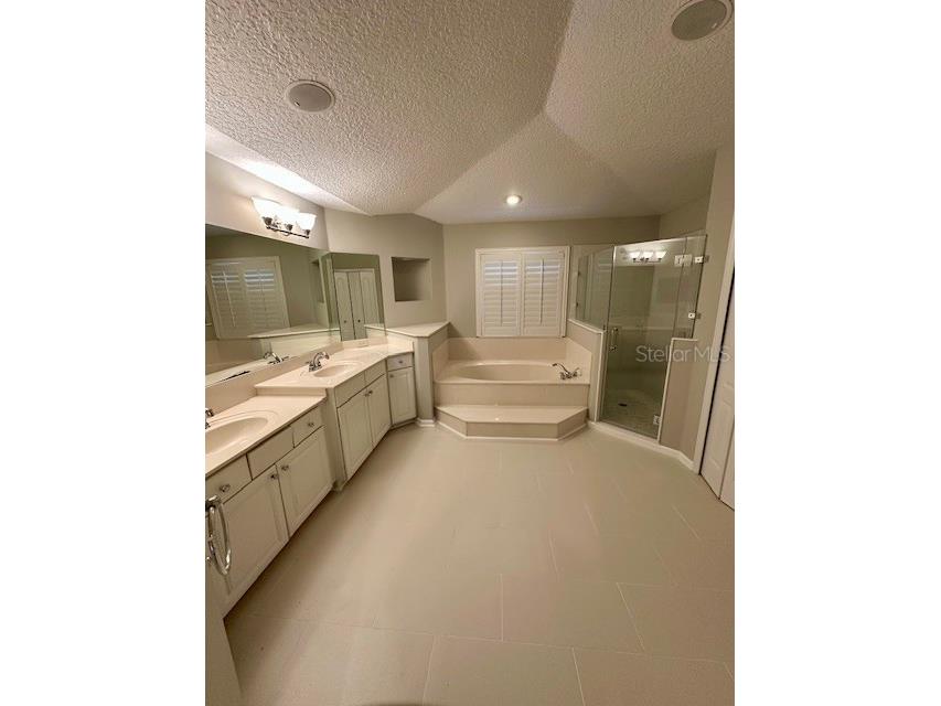 10274 Cove Lake Drive Orlando FL 32836 O6406405 image19