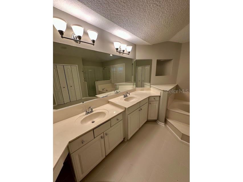 10274 Cove Lake Drive Orlando FL 32836 O6406405 image20