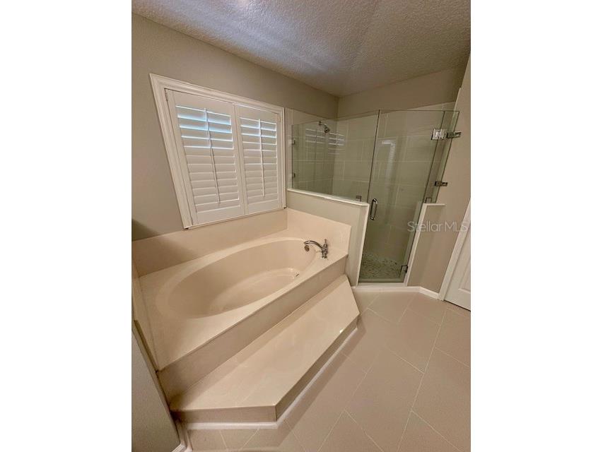 10274 Cove Lake Drive Orlando FL 32836 O6406405 image21