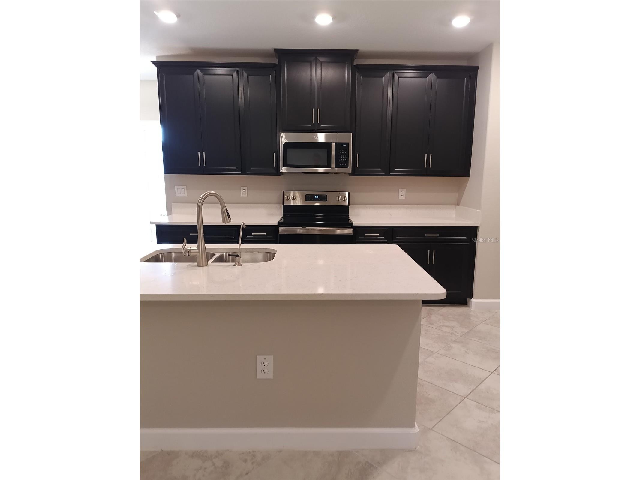 10274 Echo Dock Loop San Antonio FL 33576 W7884790 image5