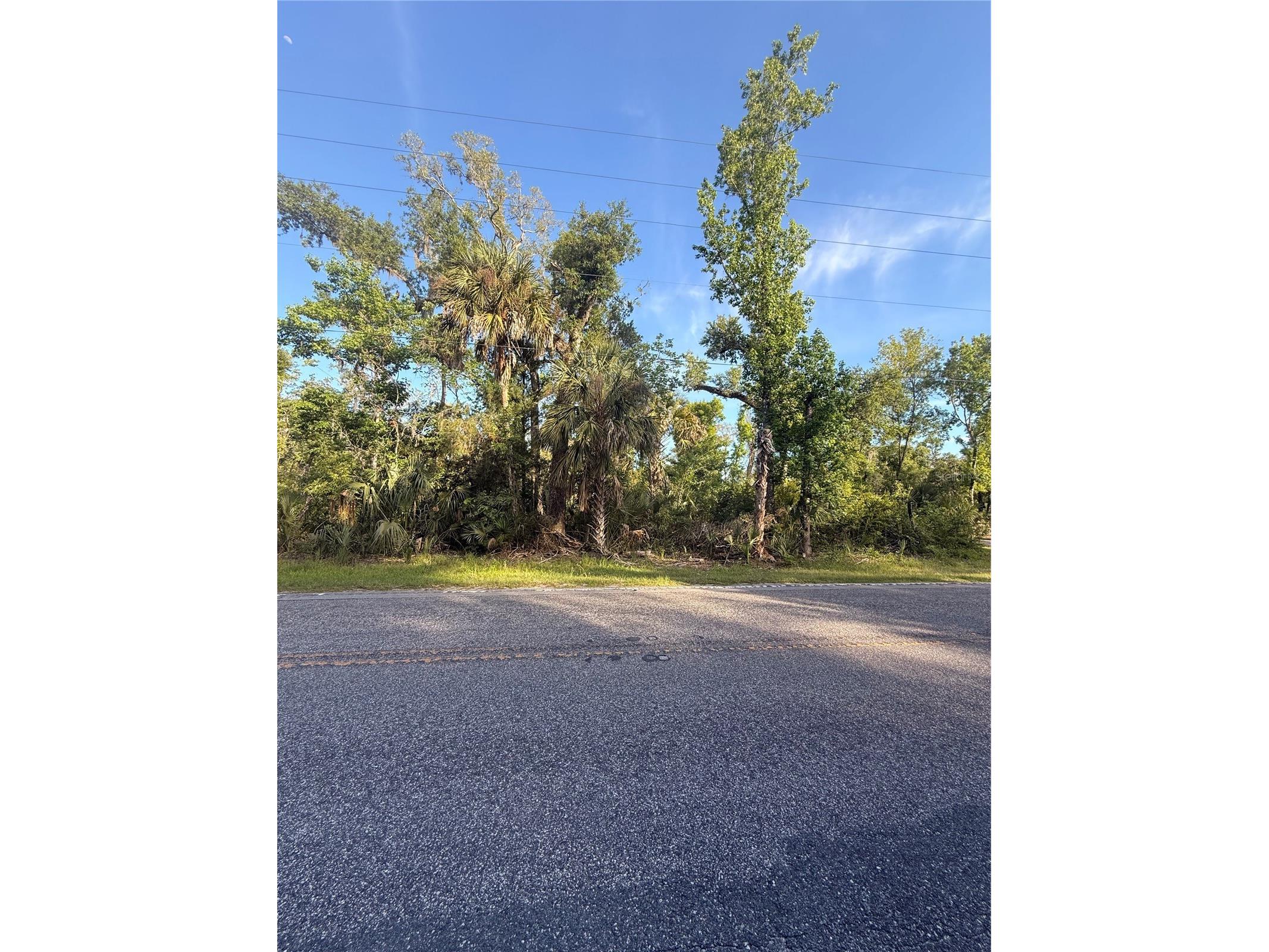 10274 W Ozello Trail Crystal River FL 34429 OM723579 image1