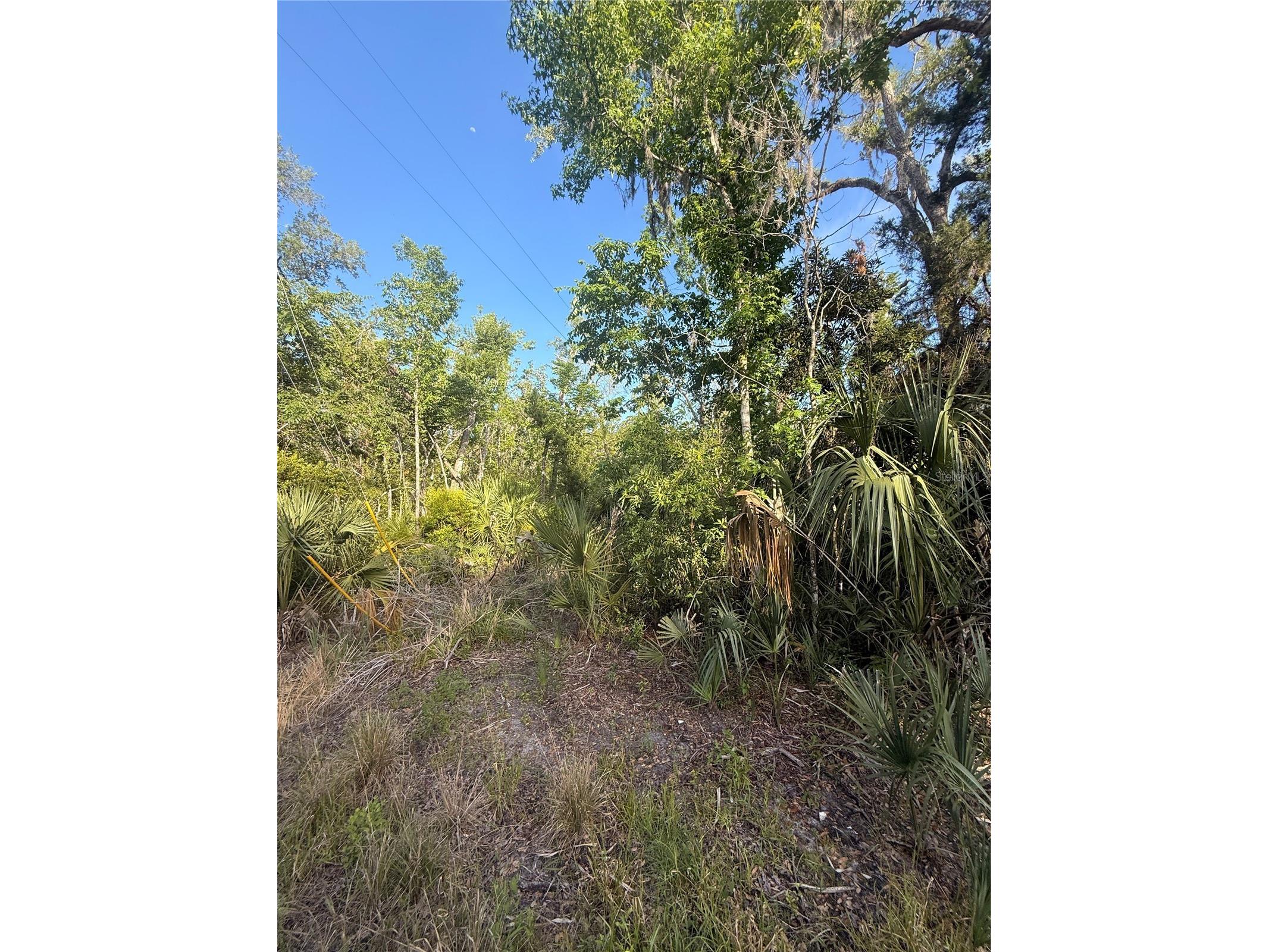 10274 W Ozello Trail Crystal River FL 34429 OM723579 image10