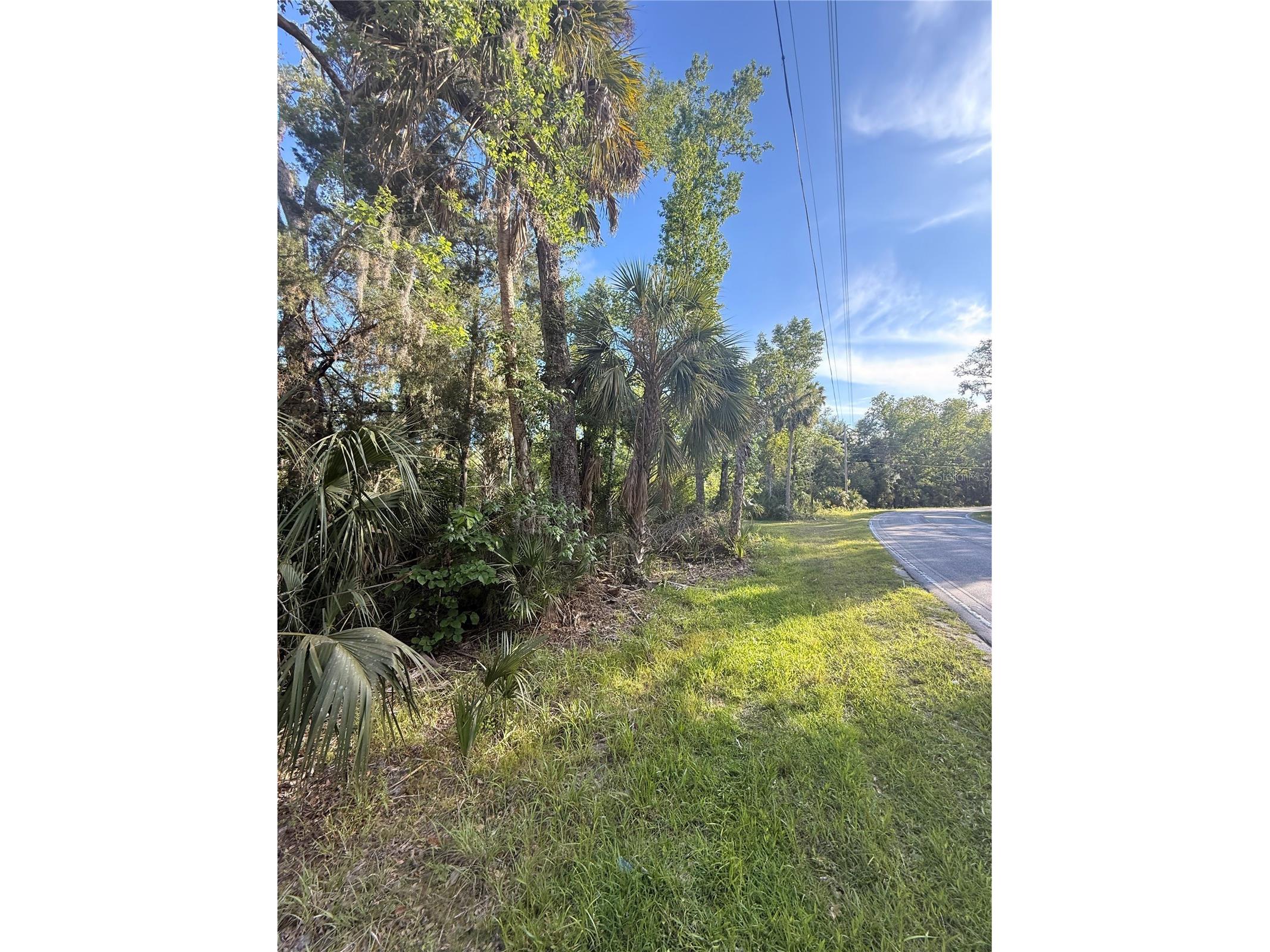 10274 W Ozello Trail Crystal River FL 34429 OM723579 image11