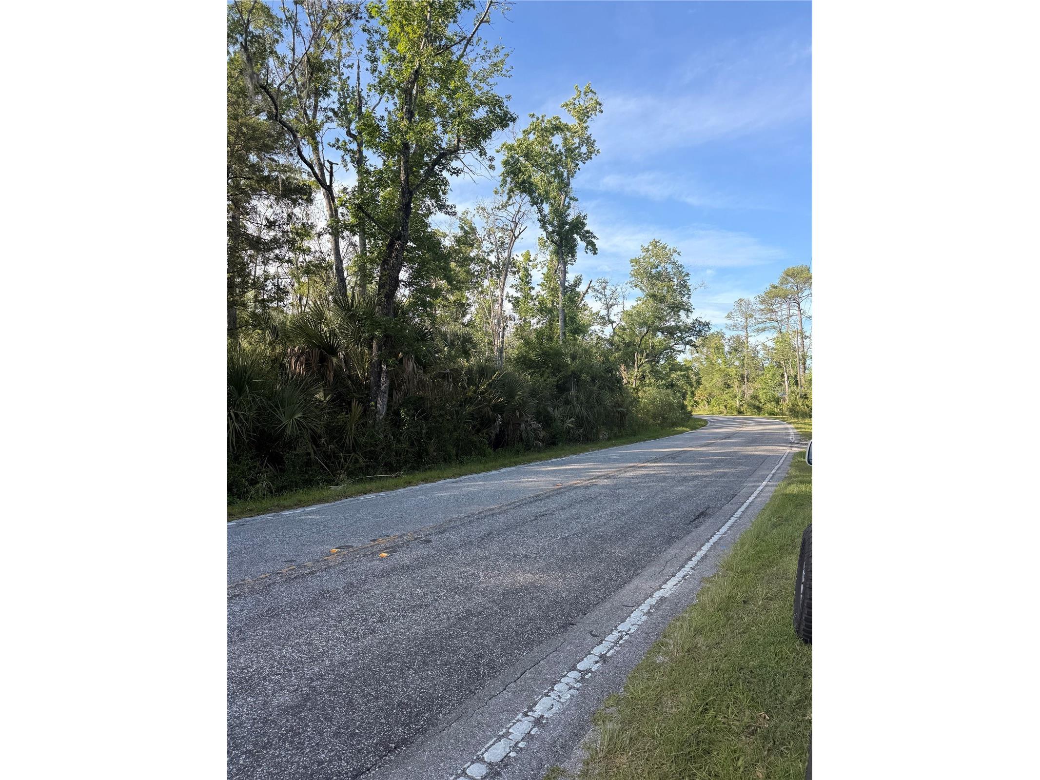 10274 W Ozello Trail Crystal River FL 34429 OM723579 image12