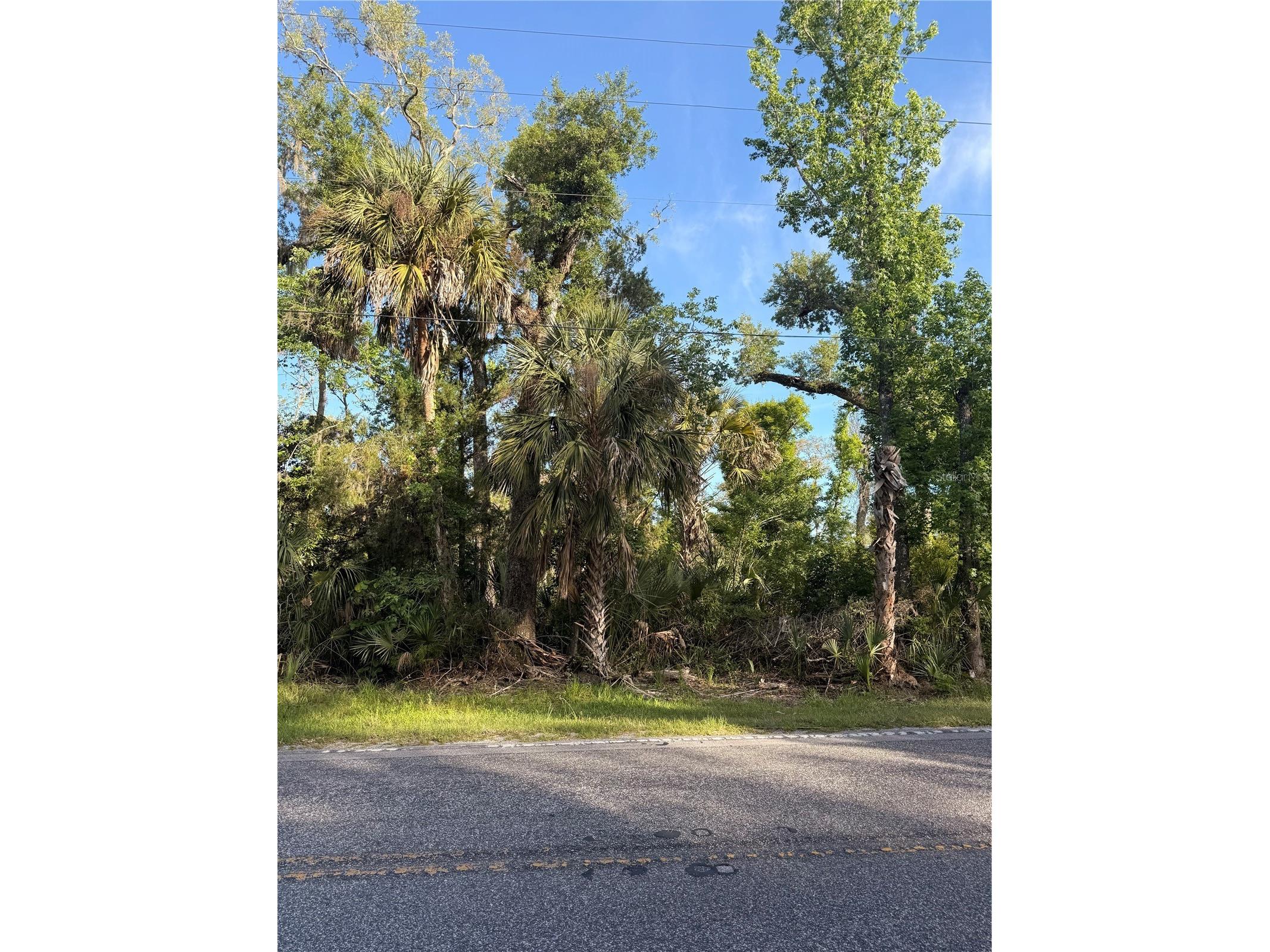 10274 W Ozello Trail Crystal River FL 34429 OM723579 image13